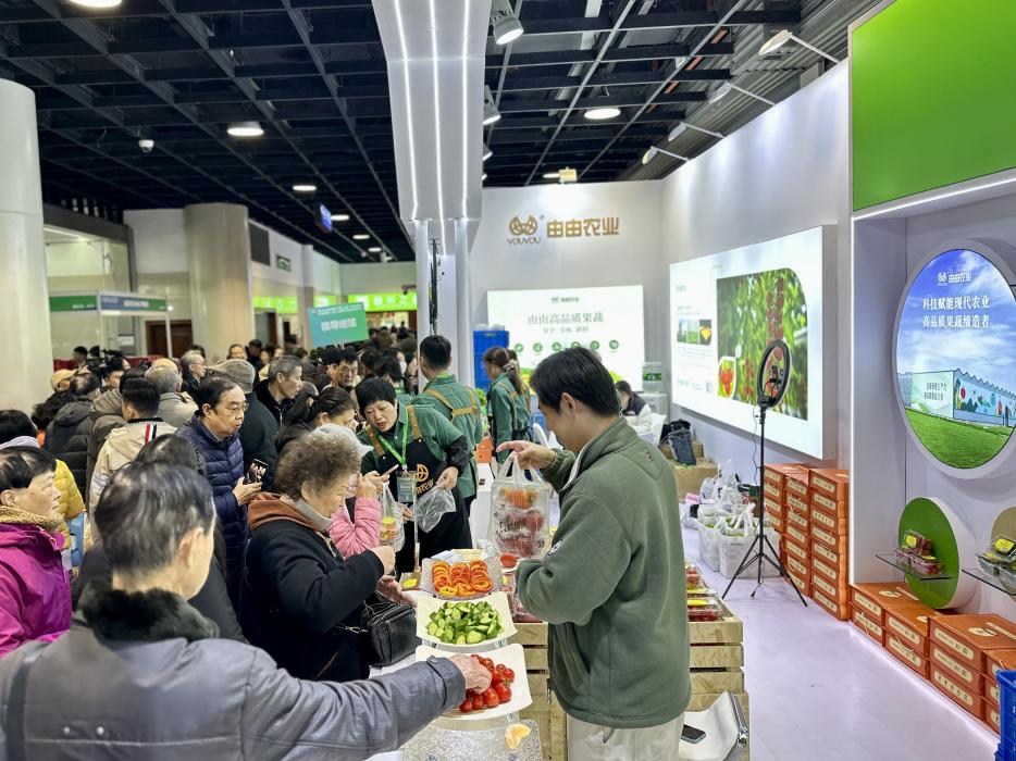 由由農(nóng)業(yè)亮相全國(guó)優(yōu)質(zhì)農(nóng)產(chǎn)品采購(gòu)交流會(huì) 生菜墻引市民圍觀(圖2)